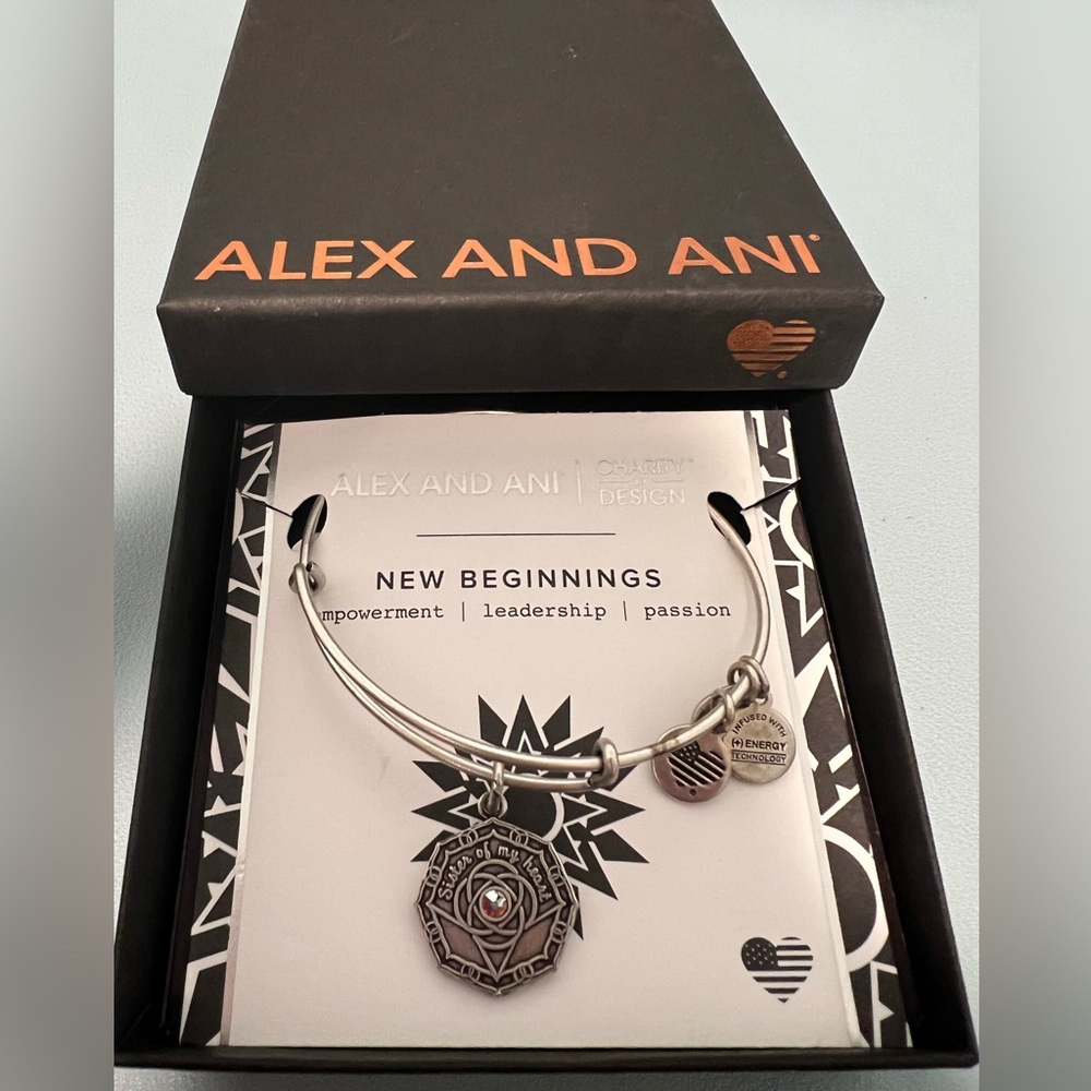 New Alex and Ani sister of my heart bangle bracelet